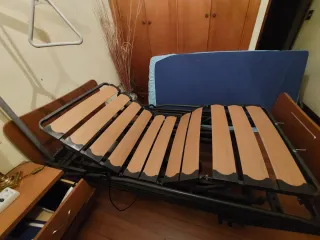 Cama articulada con carro elevador y trapecio