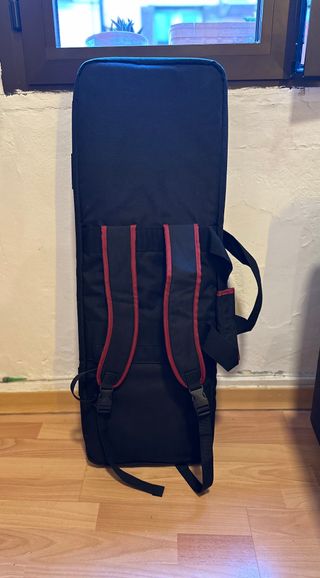 Roland GO:KEYS 61 con funda original