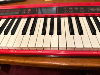 Roland GO:KEYS 61 con funda original