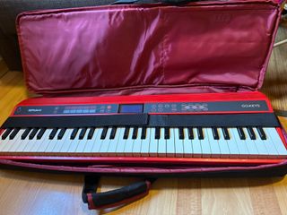 Roland GO:KEYS 61 con funda original