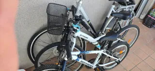 Bicicleta Estática GM Sports