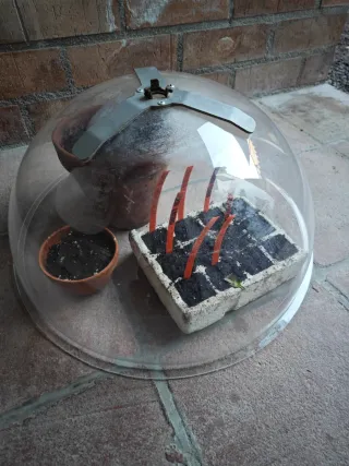 Semiesfera invernadero para semilleros