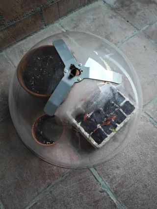 Semiesfera invernadero para semilleros