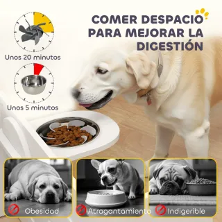 Comedero Elevado Doble para Perros