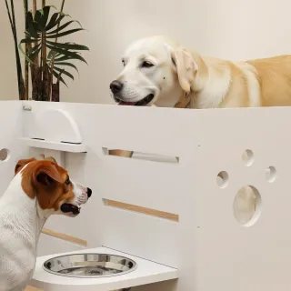 Comedero Elevado Doble para Perros
