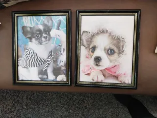 2 Cuadros Perros Marco Negro Dorado