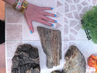 Lote Decoración Acuario/Terrario