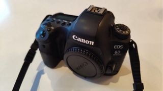 Canon EOS 6D Mark II + Lente 24-105mm y 400mm Fijo