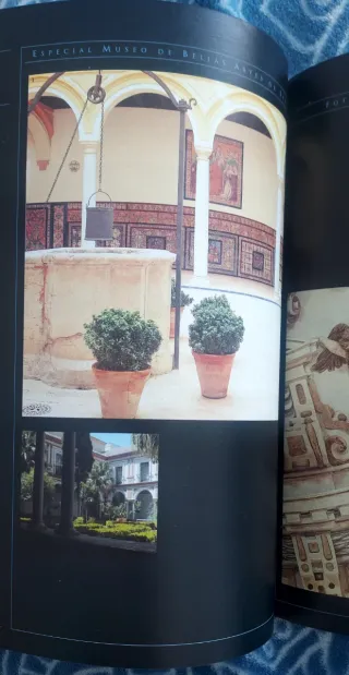 El siglo que viene. Revista de cultura. 18/19