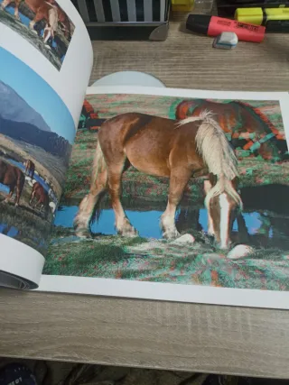 3de-fotografías estereoscópicas