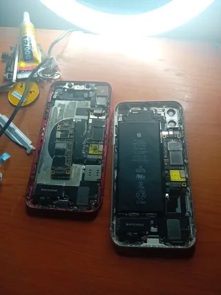 iPhone 11 Rojo