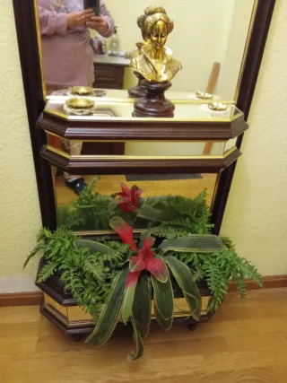 Mueble entrada antiguo con espejo