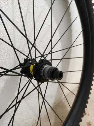 Rueda 29" MAVIC E-DEEMAX 6T XD Trasera Big Betty