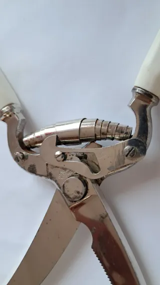 Tijeras de ave vintage metal y plástico