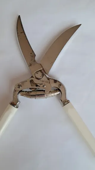 Tijeras de ave vintage metal y plástico