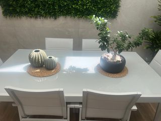 Mesa y 6 Sillas de Aluminio