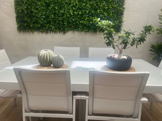 Mesa y 6 Sillas de Aluminio