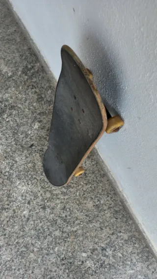 Monopatín profesional