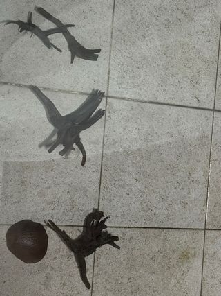 Decoración Acuario raiz Madera y un coco