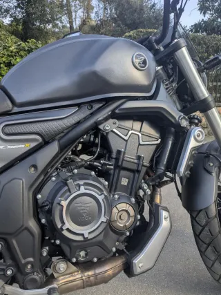 Vogue ACX525 Gris Adventure