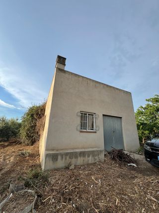 Huerto con caseta y chimenea en Jesus (Tortosa)