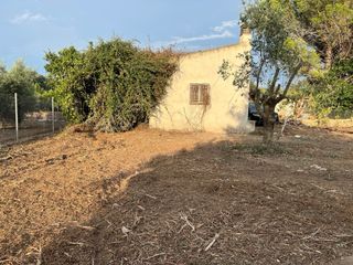 Huerto con caseta y chimenea en Jesus (Tortosa)