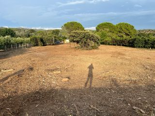 Huerto con caseta y chimenea en Jesus (Tortosa)