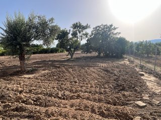 Huerto con caseta y chimenea en Jesus (Tortosa)