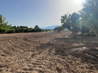 Huerto con caseta y chimenea en Jesus (Tortosa)