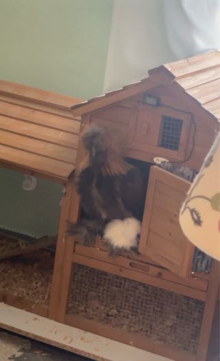 Gallinero PawHut Madera Exterior