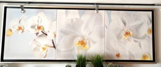 Cuadro Orquídeas 177cm