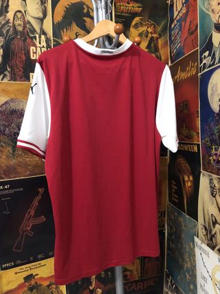 Camiseta Austria Eurocopa 2020 Puma