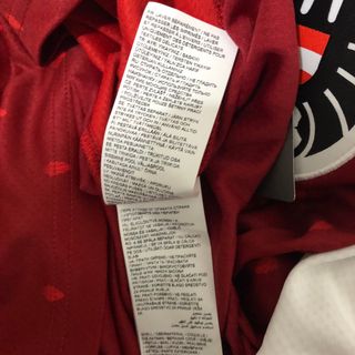 Camiseta Austria Eurocopa 2020 Puma