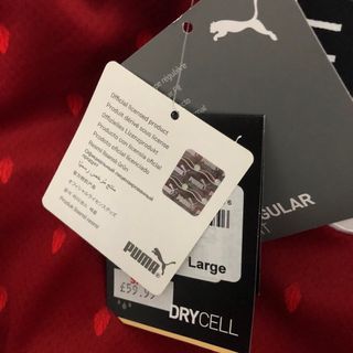 Camiseta Austria Eurocopa 2020 Puma