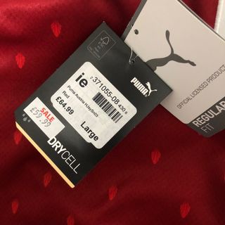 Camiseta Austria Eurocopa 2020 Puma