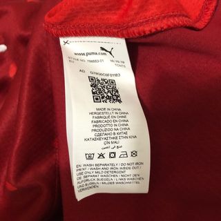 Camiseta Austria Eurocopa 2020 Puma