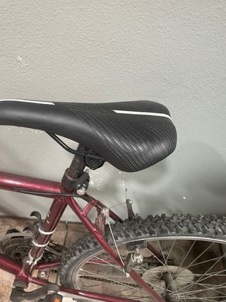 Bicicleta de montaña Strike