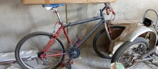Bicicleta de Montaña
