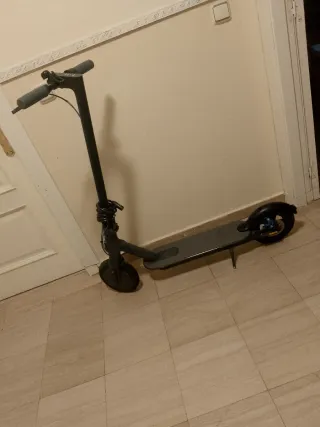 Patinete Eléctrico Xiaomi Negro/Gris
