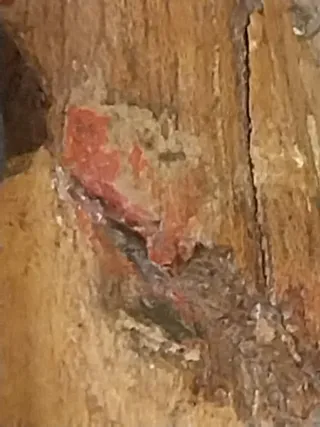 Talla XVII madera General romano APIO CAECO