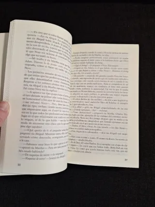 John Irving. El último telesilla
