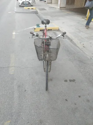 Bicicleta Razesa Clásica 1980