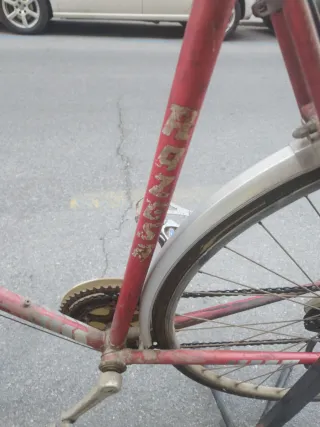 Bicicleta Razesa Clásica 1980