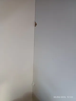 Armario Blanco Ikea 3 Puertas Recogida Terrassa