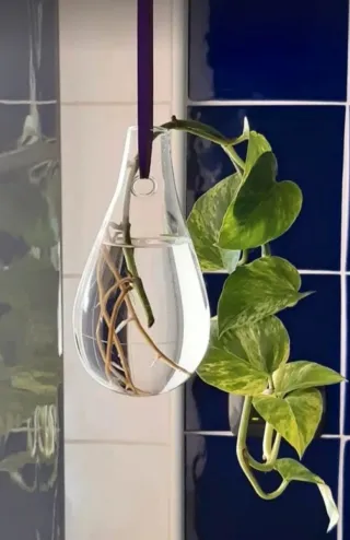 Vaso in vetro a goccia