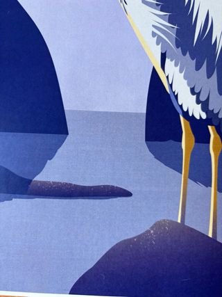 Ilustración Garza Real A4