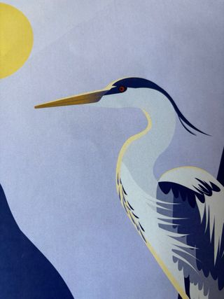Ilustración Garza Real A4