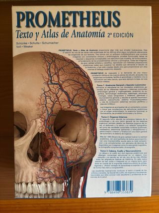 PAC-Prometheus y Ribes: Atlas de Anatomía e Ing...