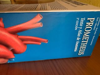 PAC-Prometheus y Ribes: Atlas de Anatomía e Ing...