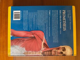 PAC-Prometheus y Ribes: Atlas de Anatomía e Ing...